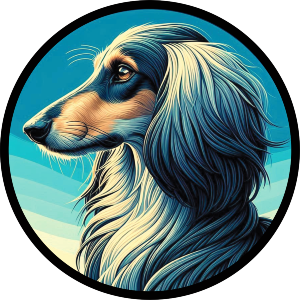 Afghan Hound Portrait