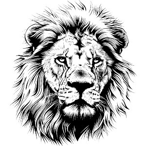 Lion Portrait