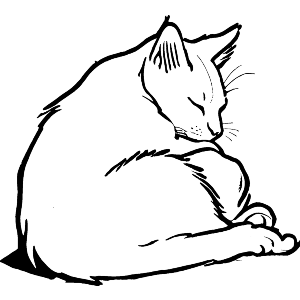 Singapura Cat Napping