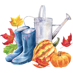 Blue Rubber Boots, Watering Can And Pumpkins 