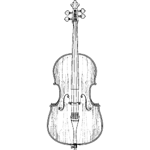 Cello Instrument