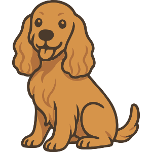 English Cocker Spaniel