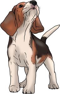 Howling Beagle Puppy