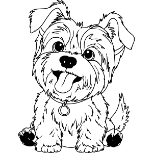 Happy Yorkshire Terrier