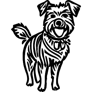 Cairn Terrier Dog