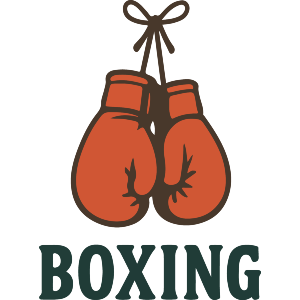Boxing Gloves