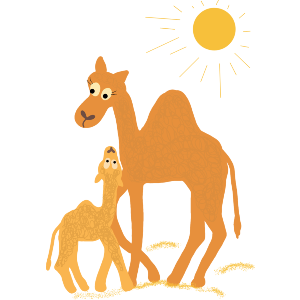 Camel Mummy And Baby