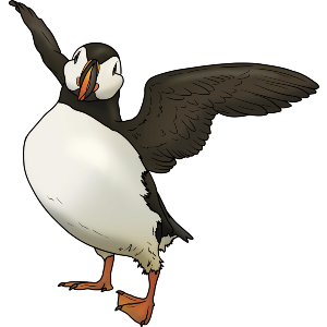 Puffin Spreading Wings