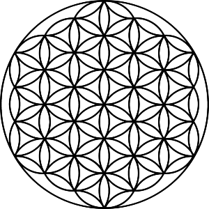 Flower Of Life Geometry