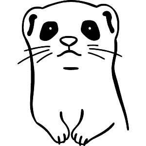 Ferret Face