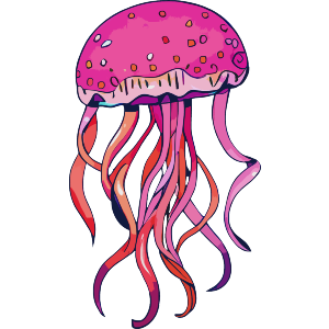 Pink Jellyfish
