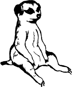 Sitting Meerkat