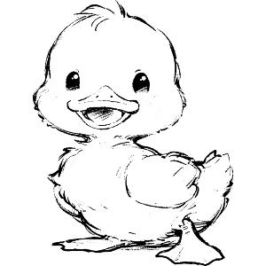 Cute Baby Duck Standing