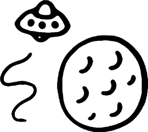 UFO In Space