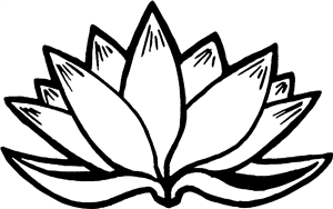 Lotus Flower