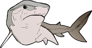 Swimming Shark