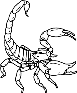 Scorpion