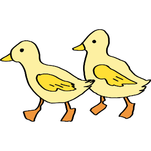 Pair of Ducks