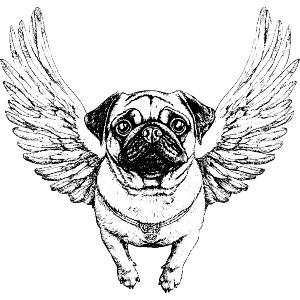 Pug with Wings