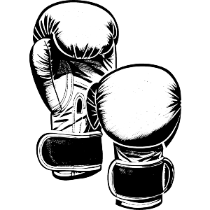 Boxing Gloves