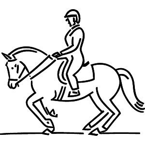 Dressage Horse Rider