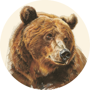 Grizzly Bear Portrait