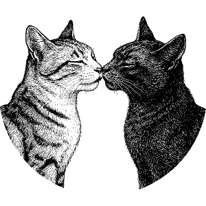 Cat Couple