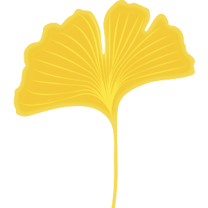 Yellow Ginkgo Leaf