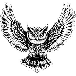 Owl with Wings Spread 