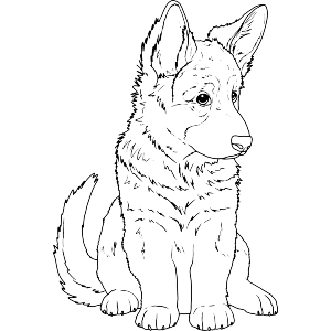 Adorable German Shepherd Puppy