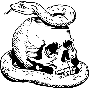 Snake with Human Skull