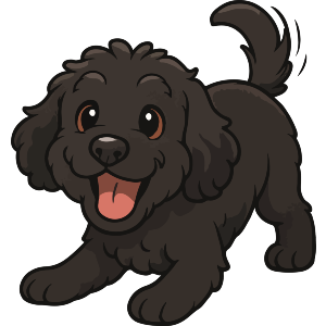 Playful Black Cockapoo Dog