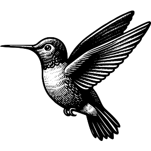 Hummingbird in Flight