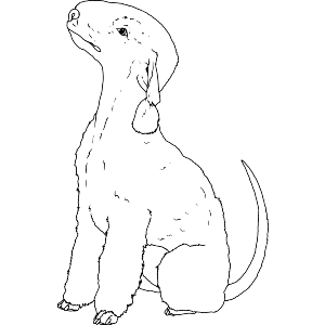 Sitting Bedlington Terrier Dog