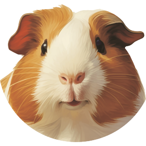 Guinea Pig Portrait
