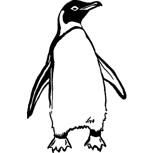 Penguin