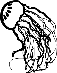 jellyfish
