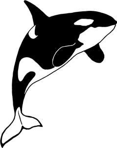 Killer Whale