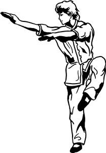 Kung Fu Stance