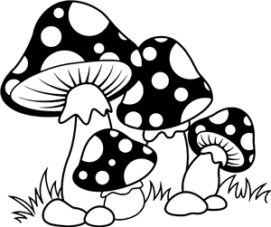 Toadstool Mushrooms