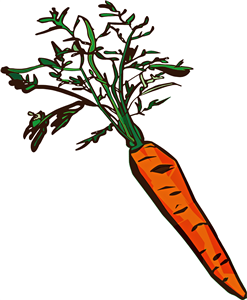 Carrot