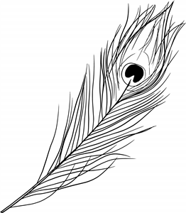 Peacock Feather