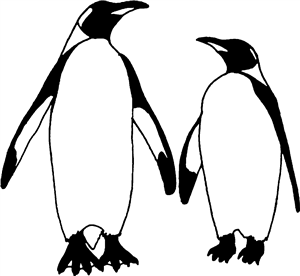 Penguin Couple