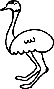 Ostrich