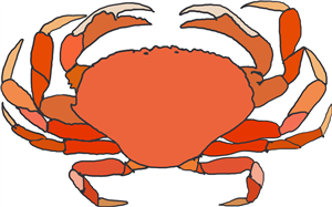 Beach Crab