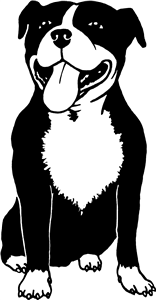 Staffordshire Bull Terrier