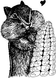 Chipmunk Loves Corn