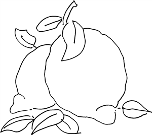 Lemons