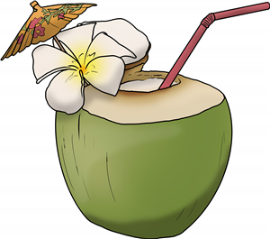 Tropical Coconut Drink