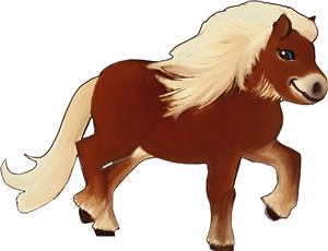 Shetland Pony